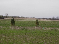 thumb_435_mvc-024s.jpg